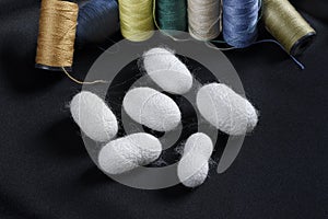 Natural silkworms cocoon with colored sewing bobbins on dark background