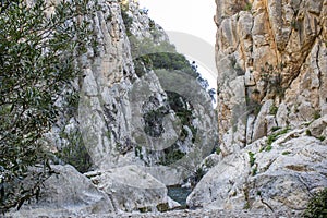 Natural site of Algar Fountains in Callosa dÃÂ´En Sarria photo