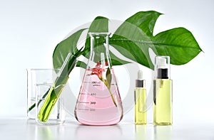 Natural skin care beauty products, Natural organic botany extraction and scientific glassware photo