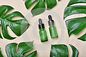 Natural skincare beauty product concept, Cosmetic bottle containers packaging with green herbal leaves