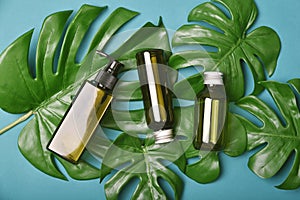 Natural skincare beauty product, Cosmetic bottle containers packaging with green nature leaves, Blank label for organic spa