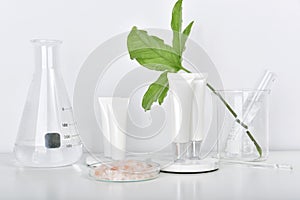 Natural skincare beauty products researching lab, Natural organic botany extraction and scientific laboratory glassware