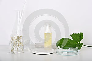 Natural skincare beauty products researching lab, Natural organic botany extraction and scientific laboratory glassware