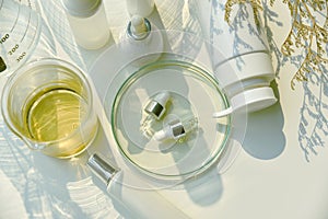 Natural skincare beauty products in shadow and light effect, Organic botany extraction and scientific laboratory glassware