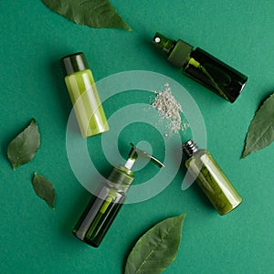 Natural skincare cosmetics set and green leaves. Bio organic beauty products, flat lay, top view. Nature cosmetic concept