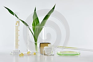 Natural skincare, Organic plant extract pharmaceutical cosmetics, Equipment and science experiments photo