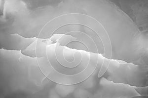 Natural slice of marble onyx