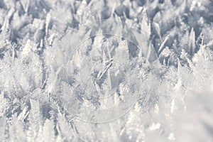 Natural snow crystals. Very frosty weather in the mountains. Macro photography