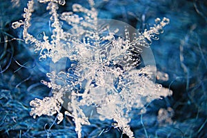 Natural snowflake