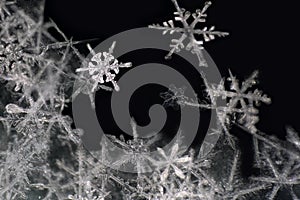 Natural snowflake close-up. Winter, cold.
