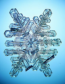 Natural snowflake macro naturals