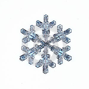 Natural snowflake macro naturals