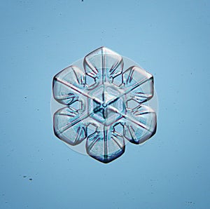 Natural snowflake macro naturals