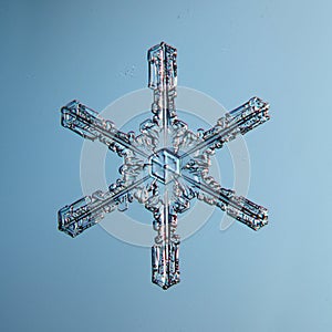 Natural snowflake macro naturals