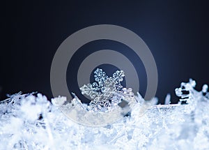 Natural snowflakes on snow, snow