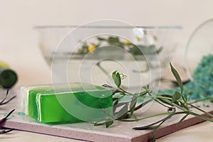Natural soap, plants, sea salt on a light background, spa treatments