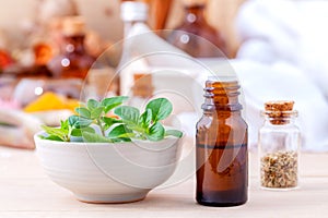 Natural Spa Ingredients essential oil with oregano leaves
