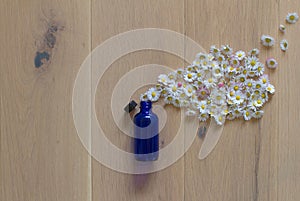 natural splash of daisy flowers encapsulated in essential oil bottle