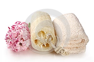 Natural sponge and terry towel