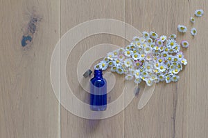 natural spout of daisy flowers encapsulated in essential oil bottle