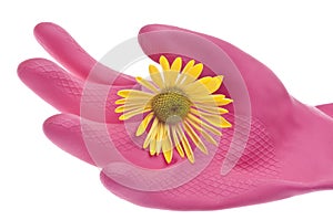 Natural Spring Cleaning Concept