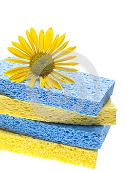 Natural Spring Cleaning Concept