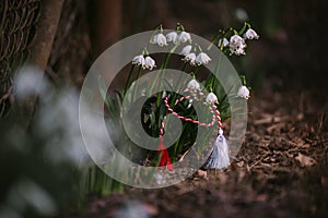 Natural spring trinket. Decorated garden snowdrop for the spring festival