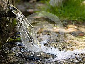 Natural spring water at forest