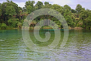 Natural Spring Water