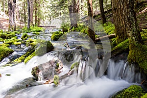 Natural spring water