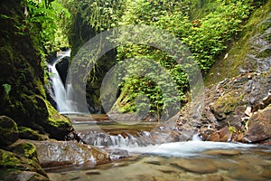 Natural Spring Waterfall