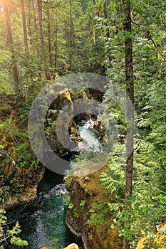 Natural spring waterfall in a wood