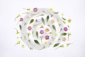 Natural spring wildflowers with green leaves flat lay on white background. Spring floral pattern, delicate primrose flowers,