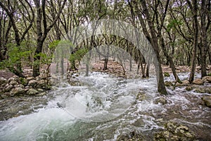 Natural springs Â¨Ses Fonts UfanesÂ¨in Mallorca