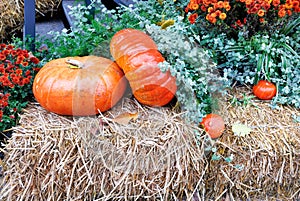 Two large orange pumpkins surrounded by autumn greenery and flowers on straw guard the entrance to the house
