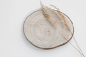 Natural still life. Wooden cutting board, timber with dry grass, festuca plant isolated on white table background