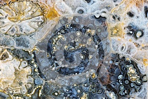 Natural stone background. Supermacro photo of agate in cells of fossilized coral