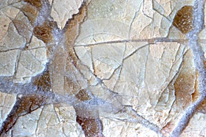 Natural stone with cross-shaped veins. macro close-up. natural stone background.