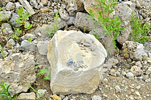 Natural stone dolomite in the limestone open-pit.