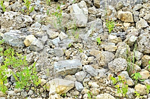 Natural stone dolomite in the limestone open-pit.