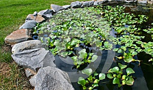 Natural stone pond