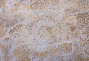 Natural stone shell rock texture background. stone limestone close-up