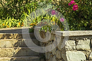 Natural stone steps and retaining wall, planter and garden border framing home entrance. Beautiful hardscape, colorful photo