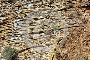 Natural stone surface detailed texture, Penteli mountain, Greece