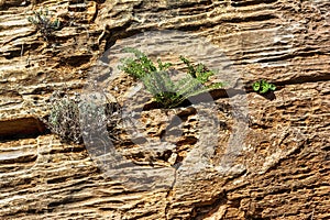 Natural stone surface detailed texture, Penteli mountain, Greece