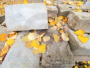 Natural stones and concrete blocks for making pavemen