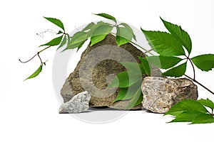 Natural stones with green leaves on a branch. white natural background. mokcup