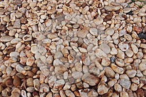 Natural stones of the shores of volta beach.