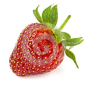 Natural strawberry isolated on white background. Close-up, large depth of field