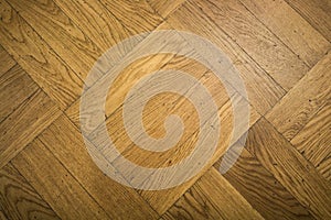 The natural structure of wood. View of the floorboard close-up.